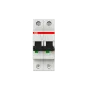 ABB S202-C10 | Автоматичен прекъсвач | 2P, 10A, крива C