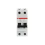 ABB S202-B20 | Автоматичен прекъсвач | 2P, 20A, крива B