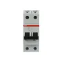 ABB S202-B50 | Автоматичен прекъсвач | 2P, 50A, крива B