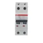 ABB S202-C63 | Автоматичен прекъсвач | 2P, 63A, крива C