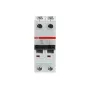 ABB S202-C80 | Автоматичен прекъсвач | 2P, 80A, крива C, 6kA
