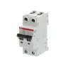 ABB S202-C100 | Автоматичен прекъсвач | 2P, 100A, крива C, 6kA ABB S202-C100 | Автоматичен прекъсвач | 2P, 100A, крива C, 6kA