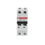 ABB S202-C100 | Автоматичен прекъсвач | 2P, 100A, крива C, 6kA